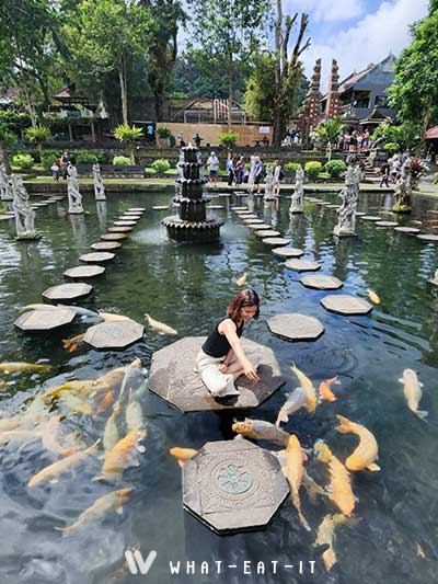 ที่เที่ยว Tirta Gangga Water Palace