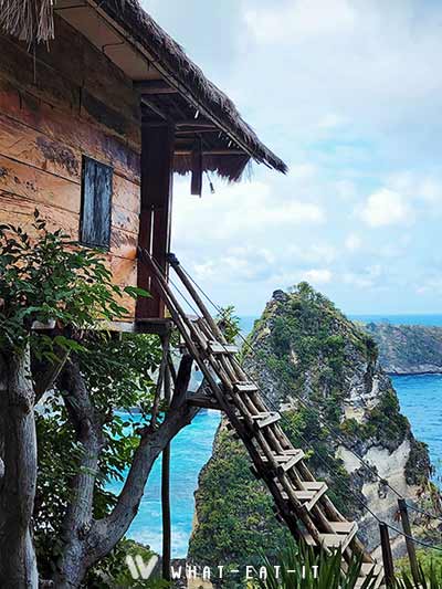 Nusa Penida Treehouse